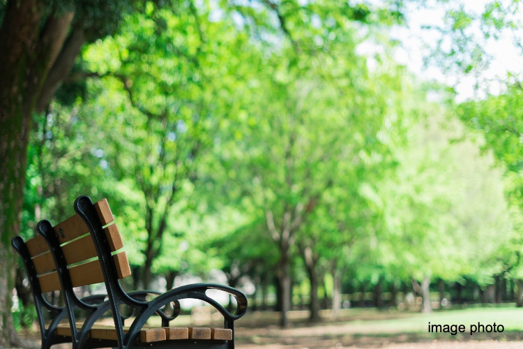 公園イメージ画像